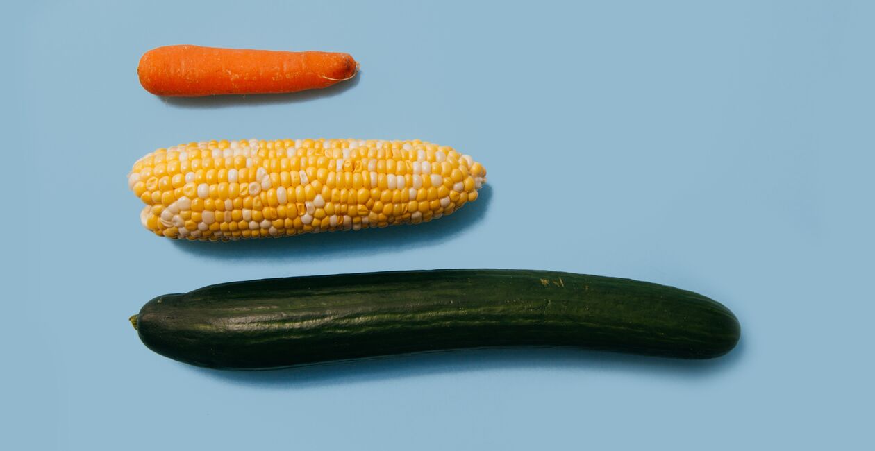 Stadien der Penisvergrößerung am Beispiel von Gemüse