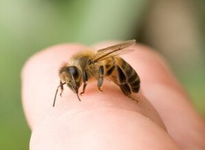 Bienenstich zur Vergrößerung des Penis