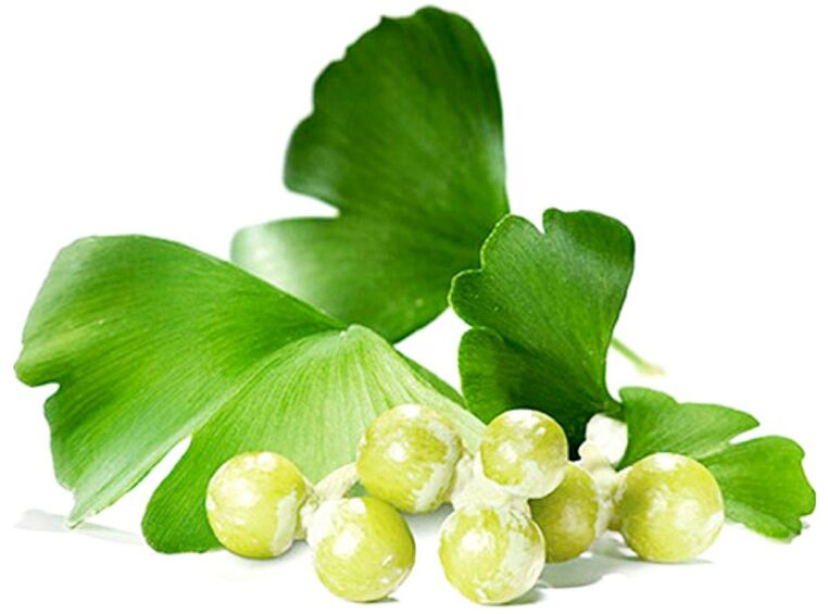 Ginkgo biloba-Blätter verbessern die Durchblutung des Penisgewebes.